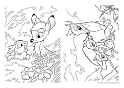 Bambi desenho para colorir 07 e 08