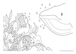 O Peixe Arco-Íris desenho para colorir 06