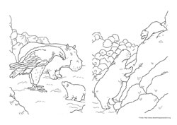 O Ursinho Polar desenho para colorir 07 e 08