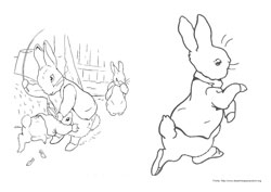 Peter Rabbit desenho para colorir 11 e 12